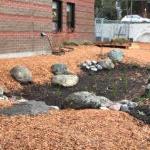 一个用树皮和新植物更新过的学校花园